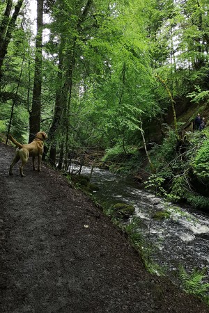 Scottish Highlands Summer 2019